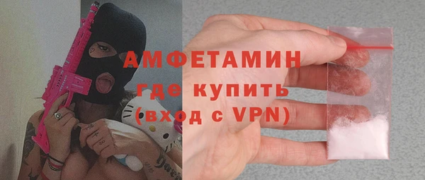 сатива Бородино