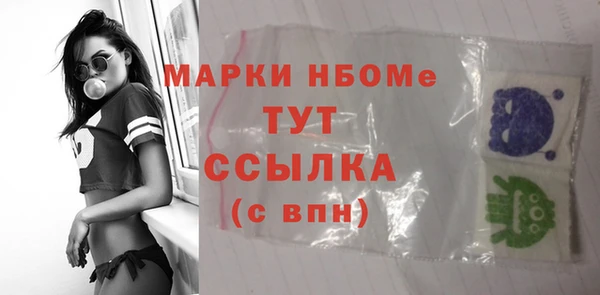 дмт Пестово