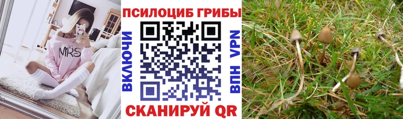 Галлюциногенные грибы Magic Shrooms  Кашира 